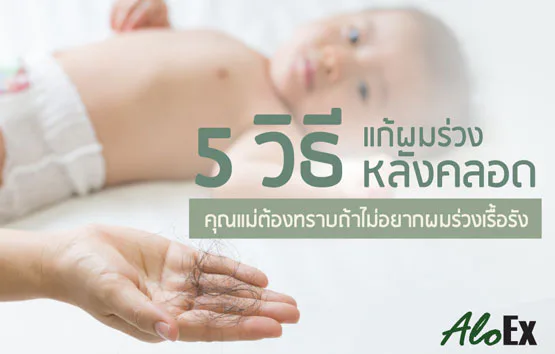 5 วิธีแก้ผมร่วงหลังคลอด