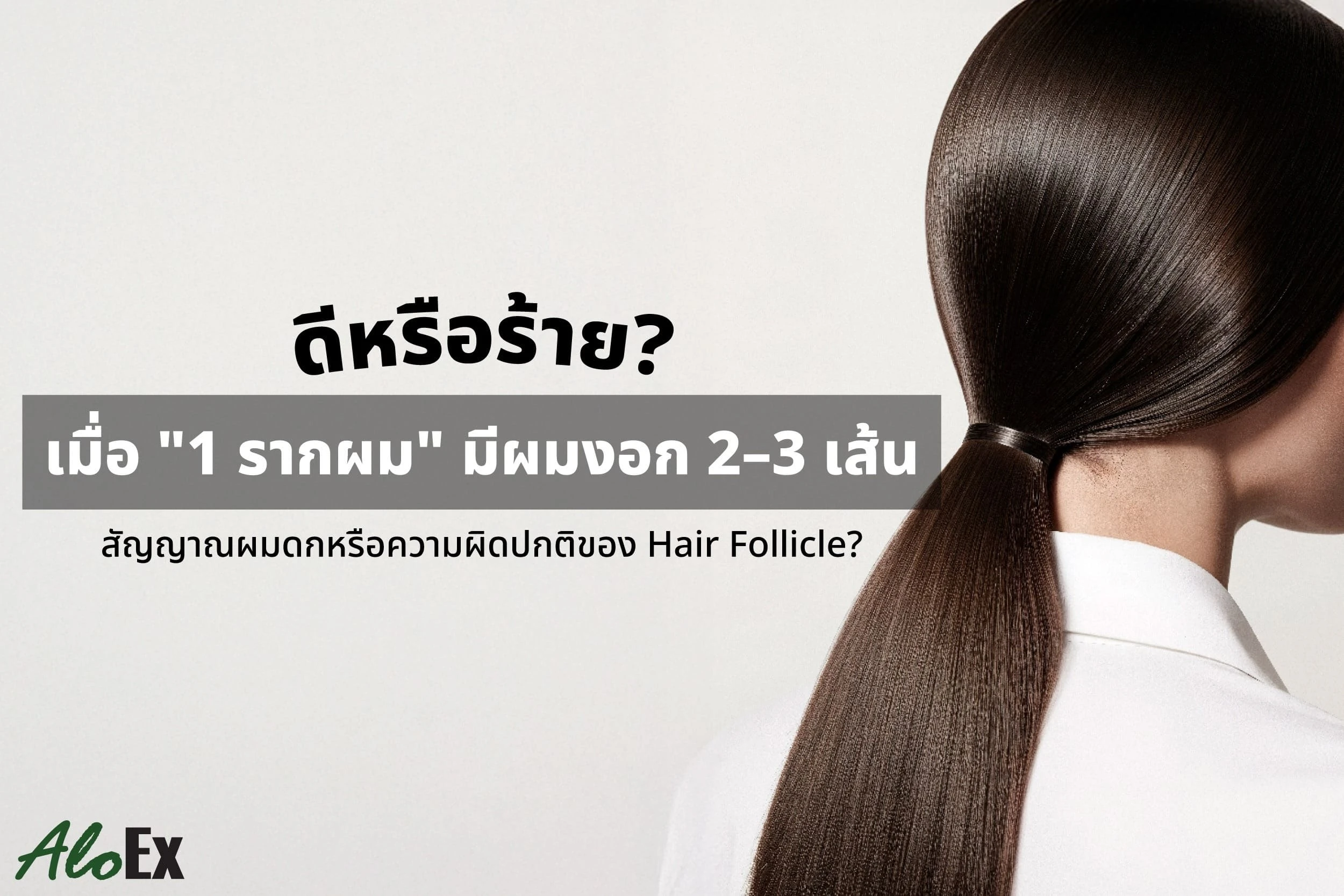 ดีหรือร้าย? เมื่อ “1 รากผม” มีผมงอก 2–3 เส้น สัญญาณผมดกหรือความผิดปกติของ Hair Follicle?