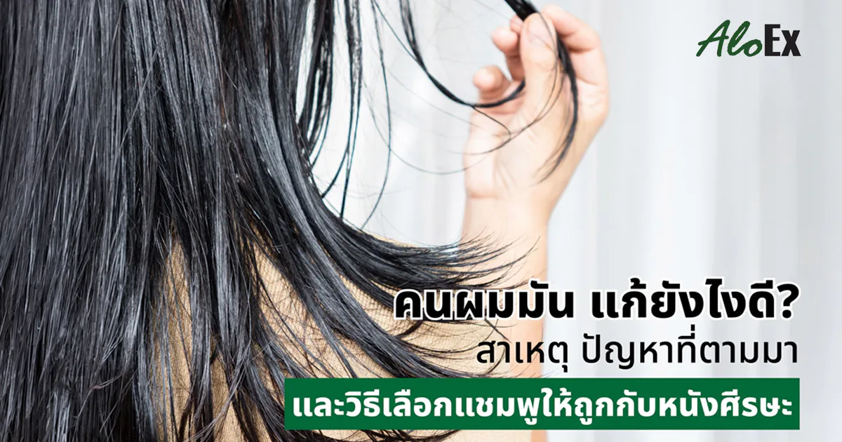 คนผมมัน แก้ยังไงดี? สาเหตุ ปัญหาที่ตามมา และวิธีเลือกแชมพูให้ถูกกับหนังศีรษะ