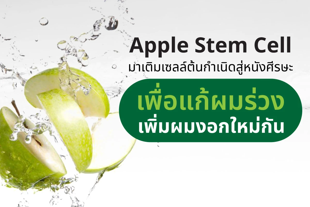 Apple Stem Cell: มาเติมเซลล์ต้นกำเนิดสู่หนังศีรษะ เพื่อแก้ผมร่วง เพิ่มผมงอกใหม่กัน