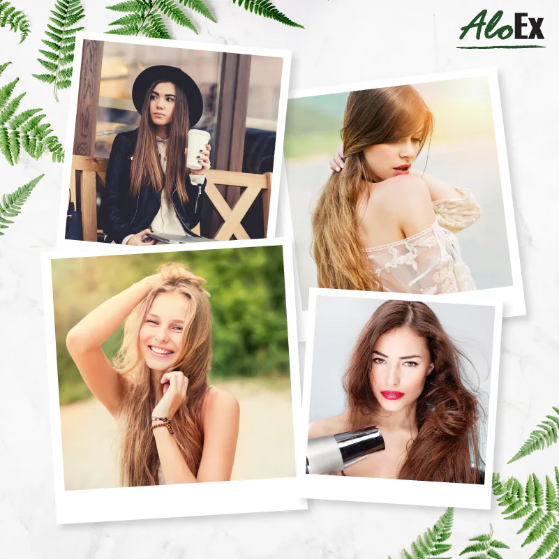 หวีผมอย่างเบามือเพื่อลดการหลุดร่วงของเส้นผม