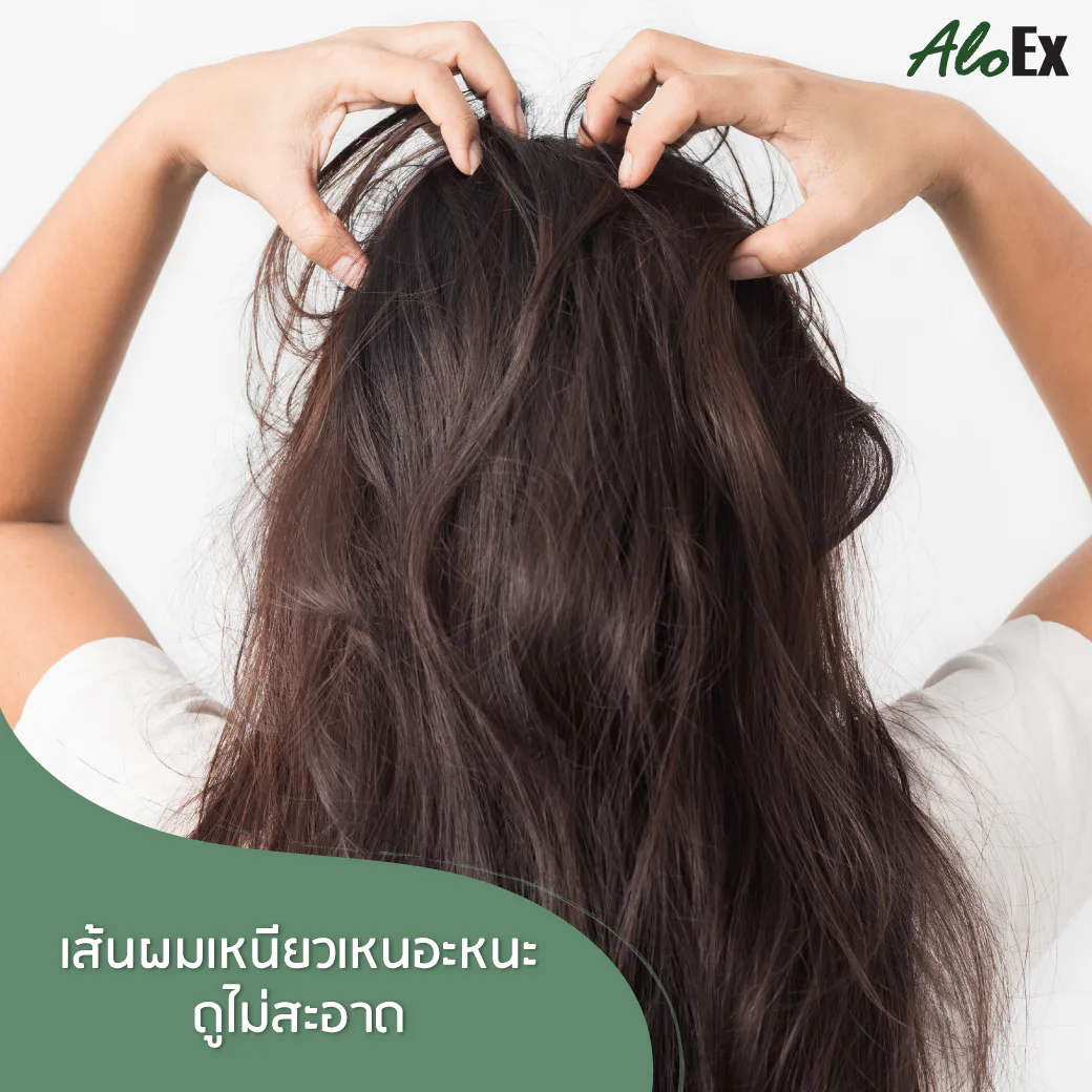 ผมร่วงผมเสียและผมแตกปลายจากเชื้อราและความชื้นบนหนังศีรษะ