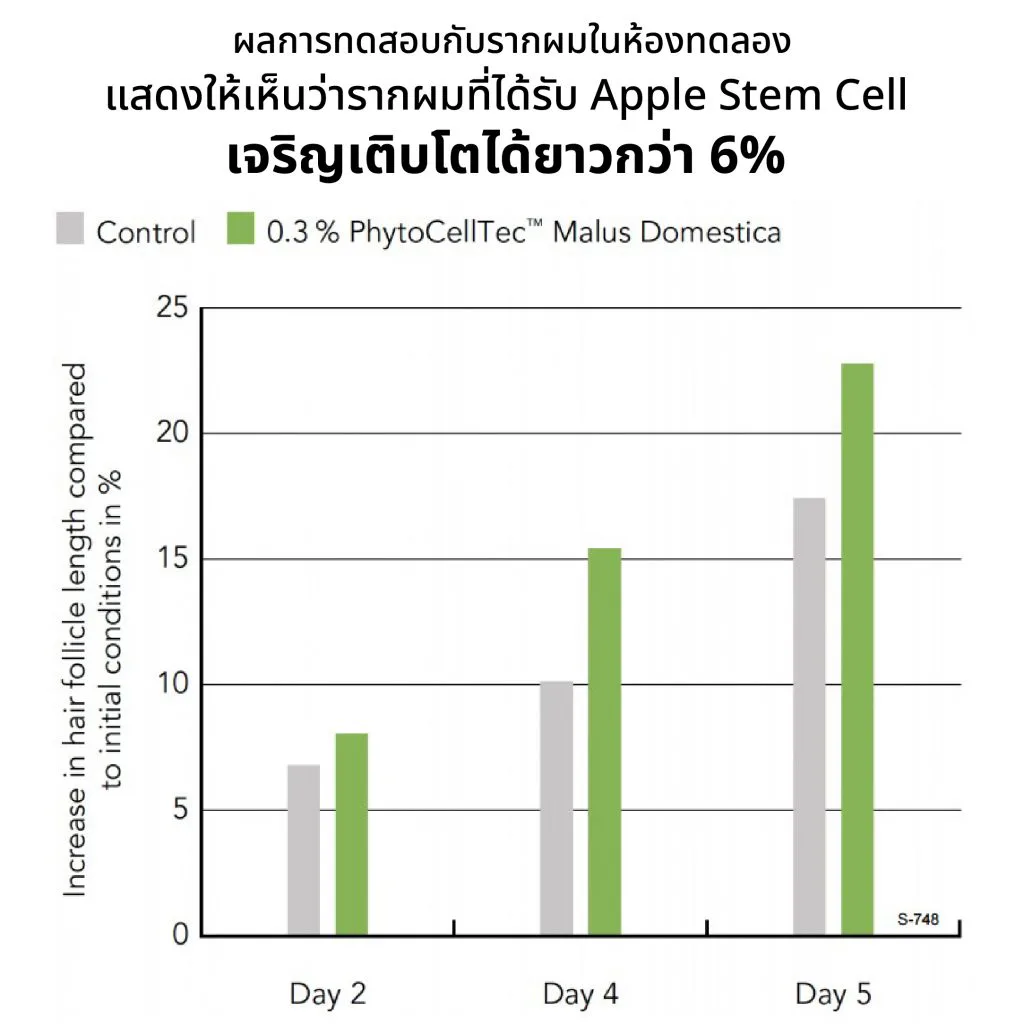 กราฟแสดงการเจริญเติบโตของรากผมที่ได้รับ Apple Stem Cell เร็วกว่า 6%
