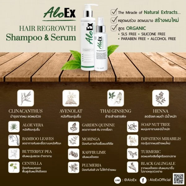 อินโฟกราฟิกส่วนผสมสมุนไพรไทยใน AloEx ที่นักวิทยาศาสตร์ค้นคว้า