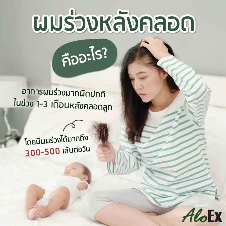 อินโฟกราฟิกอธิบายอาการผมร่วงหลังคลอดและสาเหตุที่เกิดขึ้น