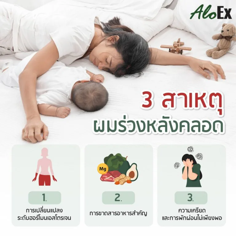 อินโฟกราฟิกสาเหตุผมร่วงหลังคลอดจากฮอร์โมนและการขาดสารอาหาร