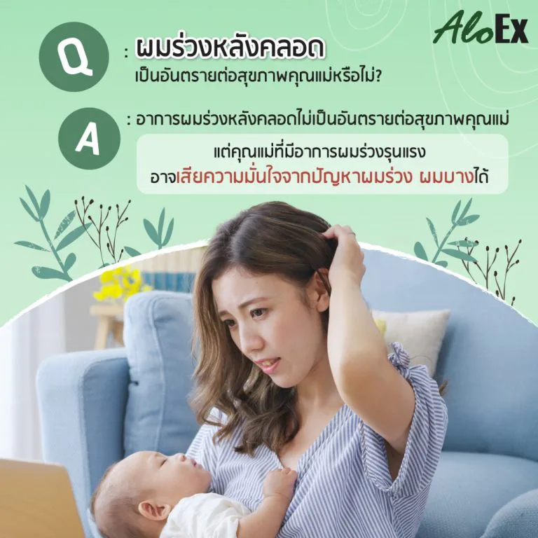 อินโฟกราฟิกช่วงเวลาที่อาการผมร่วงหลังคลอดมักเกิดขึ้น