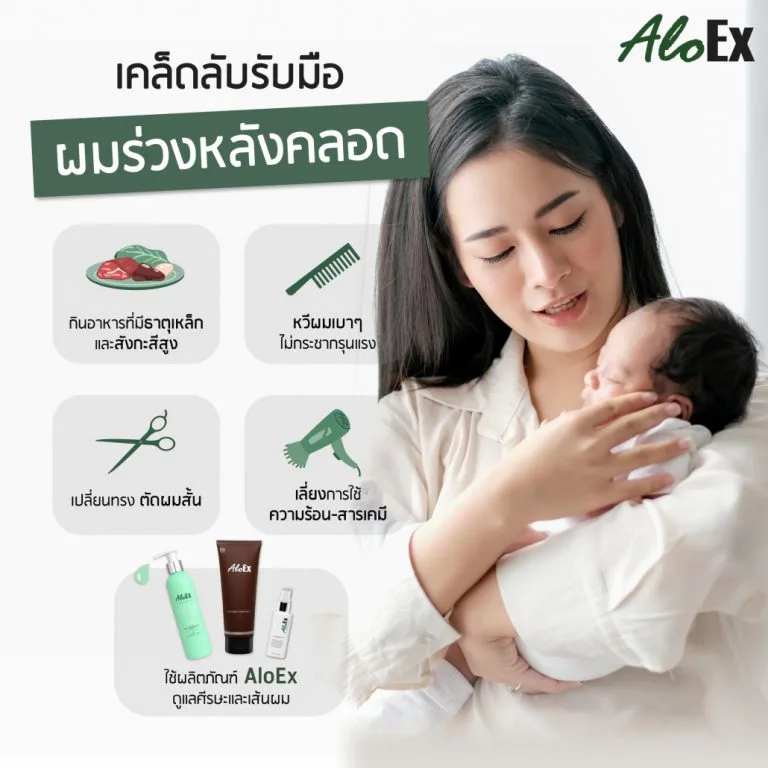 อินโฟกราฟิกวิธีดูแลและฟื้นฟูเส้นผมจากอาการผมร่วงหลังคลอด