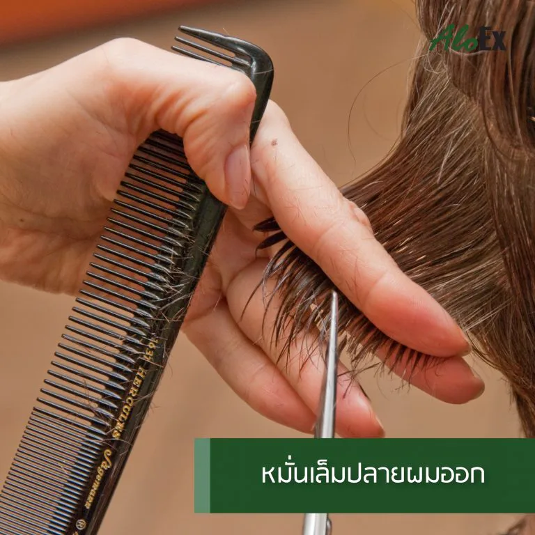 ภาพแสดงปัญหาปลายผมแตกขาดและเคล็ดลับดูแลเส้นผม