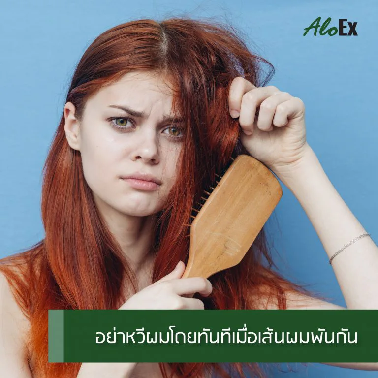 ภาพการเล็มปลายผมเพื่อป้องกันผมแตกปลาย