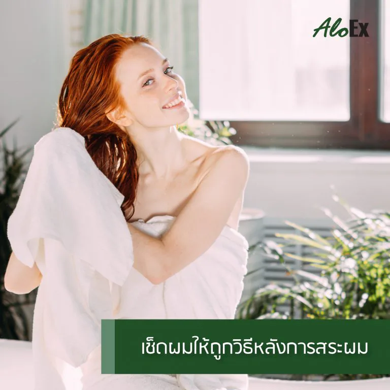ภาพการค่อยๆ สางผมพันกันด้วยนิ้วมือแทนการใช้หวี