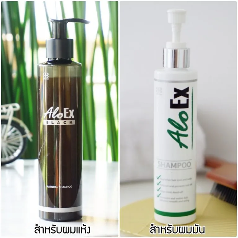 เปรียบเทียบแชมพู AloEx Original ขวดสีขาวสำหรับผมมัน กับ Black ขวดสีดำสำหรับผมแห้ง