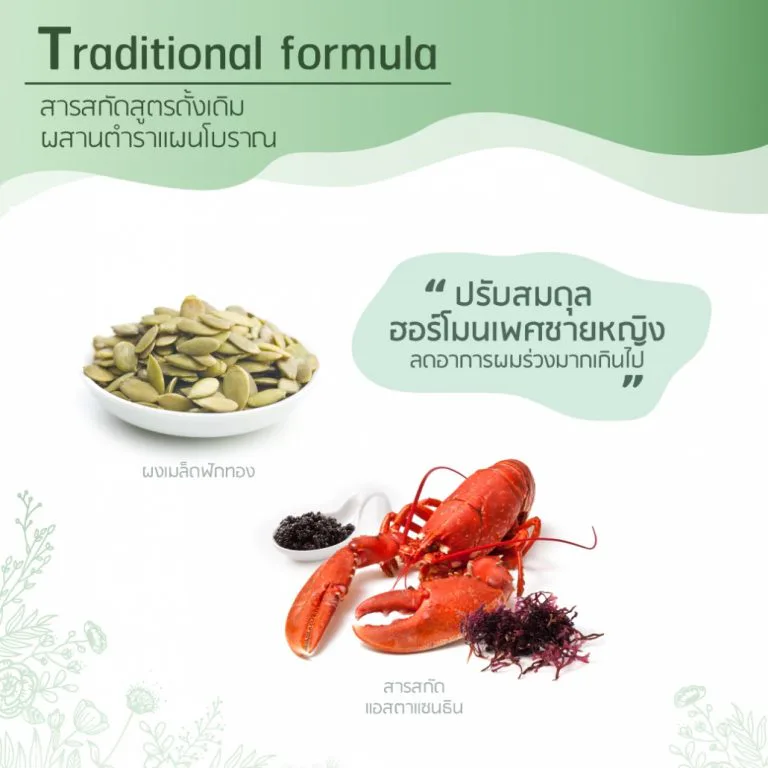 สมุนไพรสูตร Traditional Formula ว่านหางจระเข้ หญ้าหางม้า และมะระ