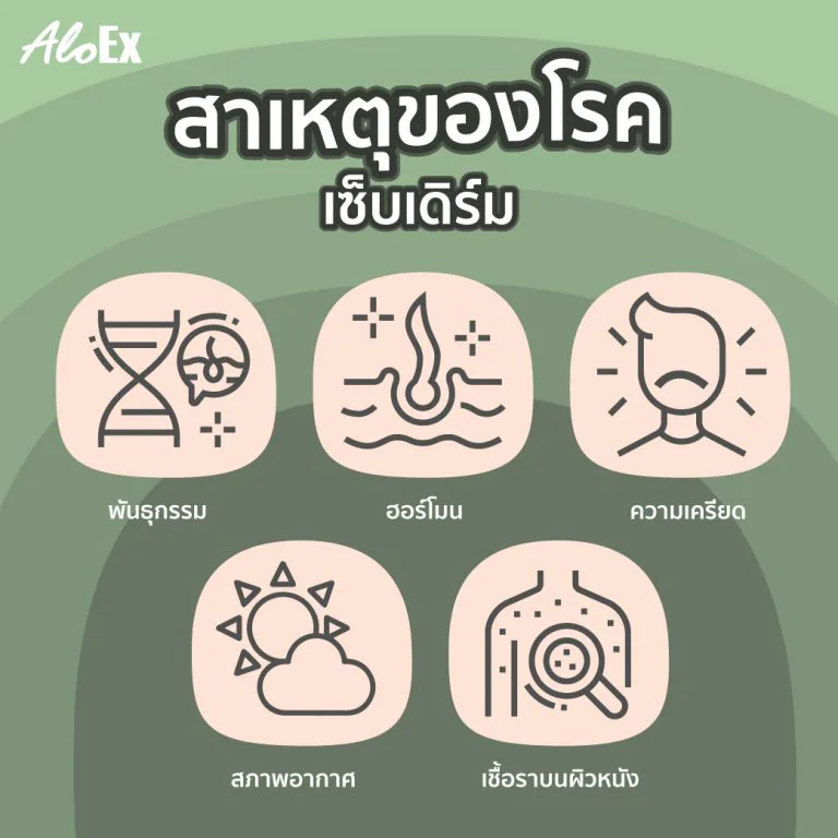 บริเวณร่างกายที่เกิดโรคเซ็บเดิร์มได้บ่อย