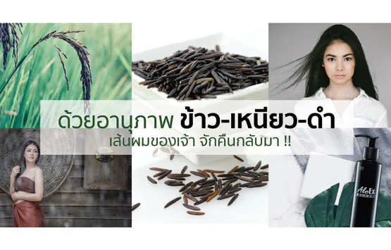 ด้วยอานุภาพ ‘ข้าว-เหนียว-ดำ’ เส้นผมของเจ้า จักคืนกลับมา !!