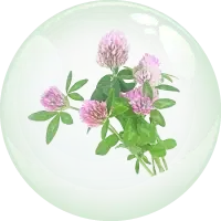 Capixyl