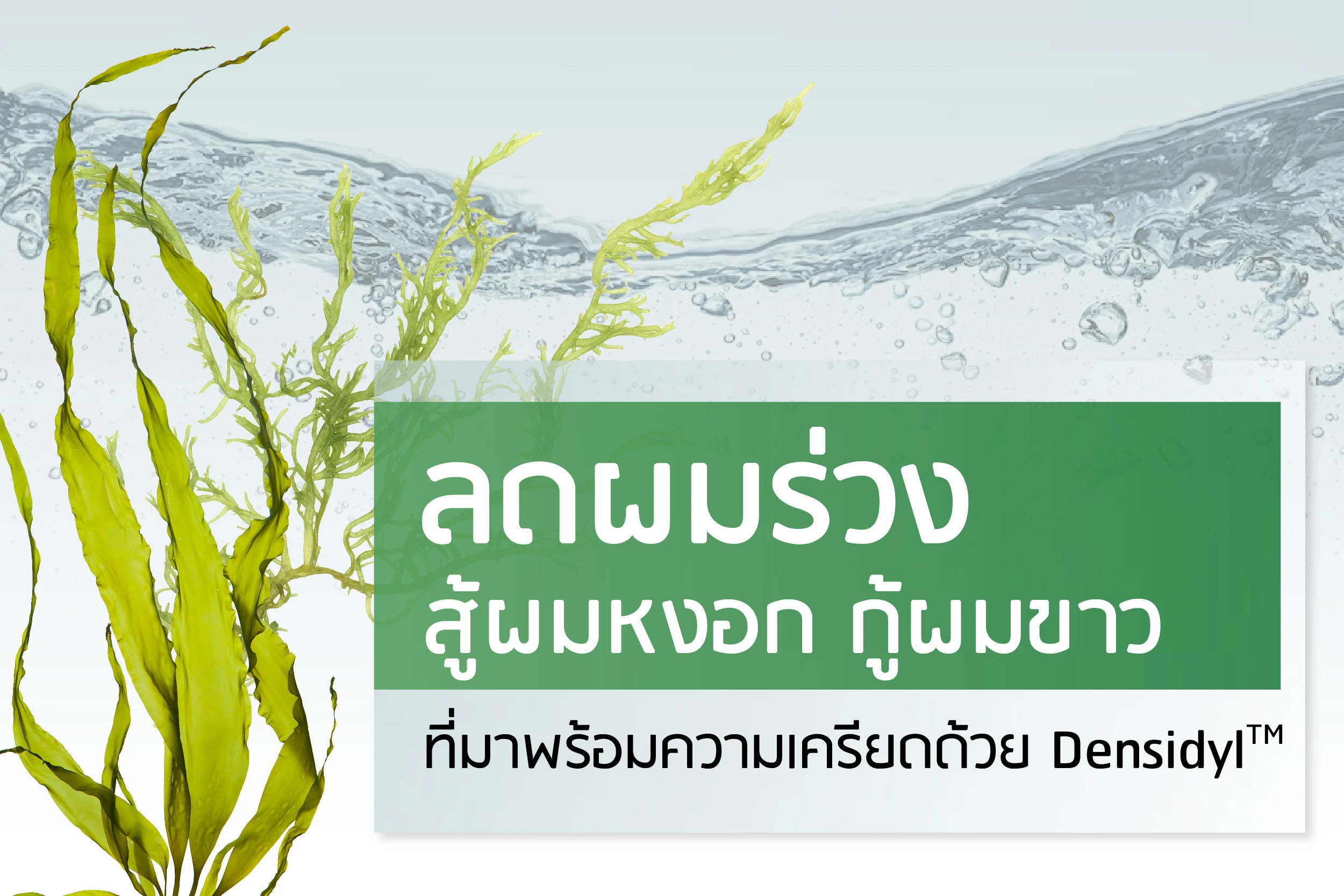 ลดผมร่วง สู้ผมหงอก กู้ผมขาว ที่มาพร้อมความเครียดด้วย Densidyl