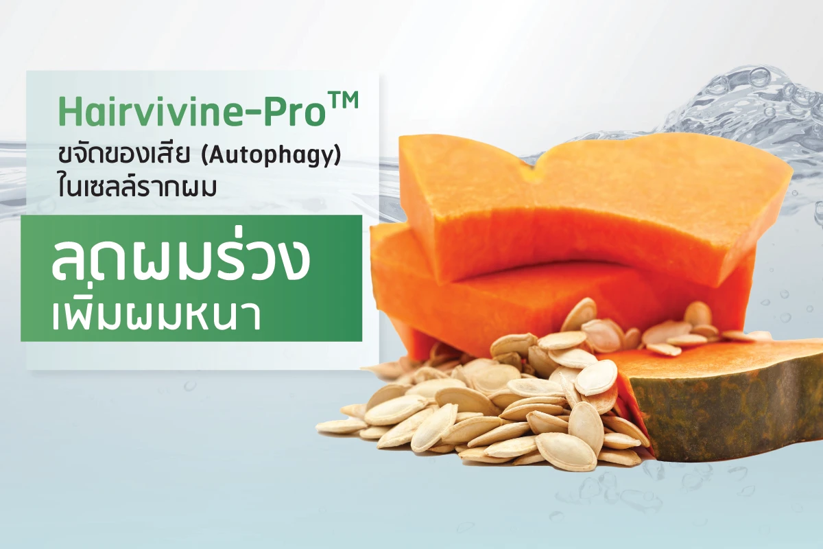Hairvivine-Pro™ ขจัดของเสีย (Autophagy) ในเซลล์รากผม ลดผมร่วง เพิ่มผมหนา