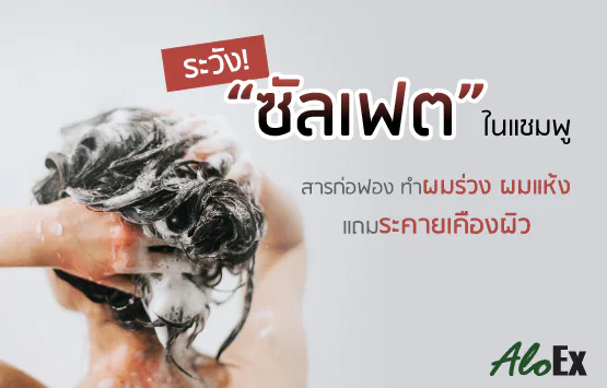 ระวัง! “ซัลเฟต” ในแชมพู สารก่อฟองทำผมร่วง ผมแห้ง แถมระคายเคืองผิว