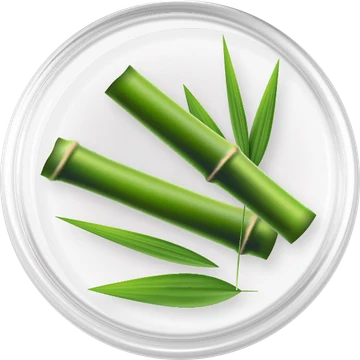 ไผ่