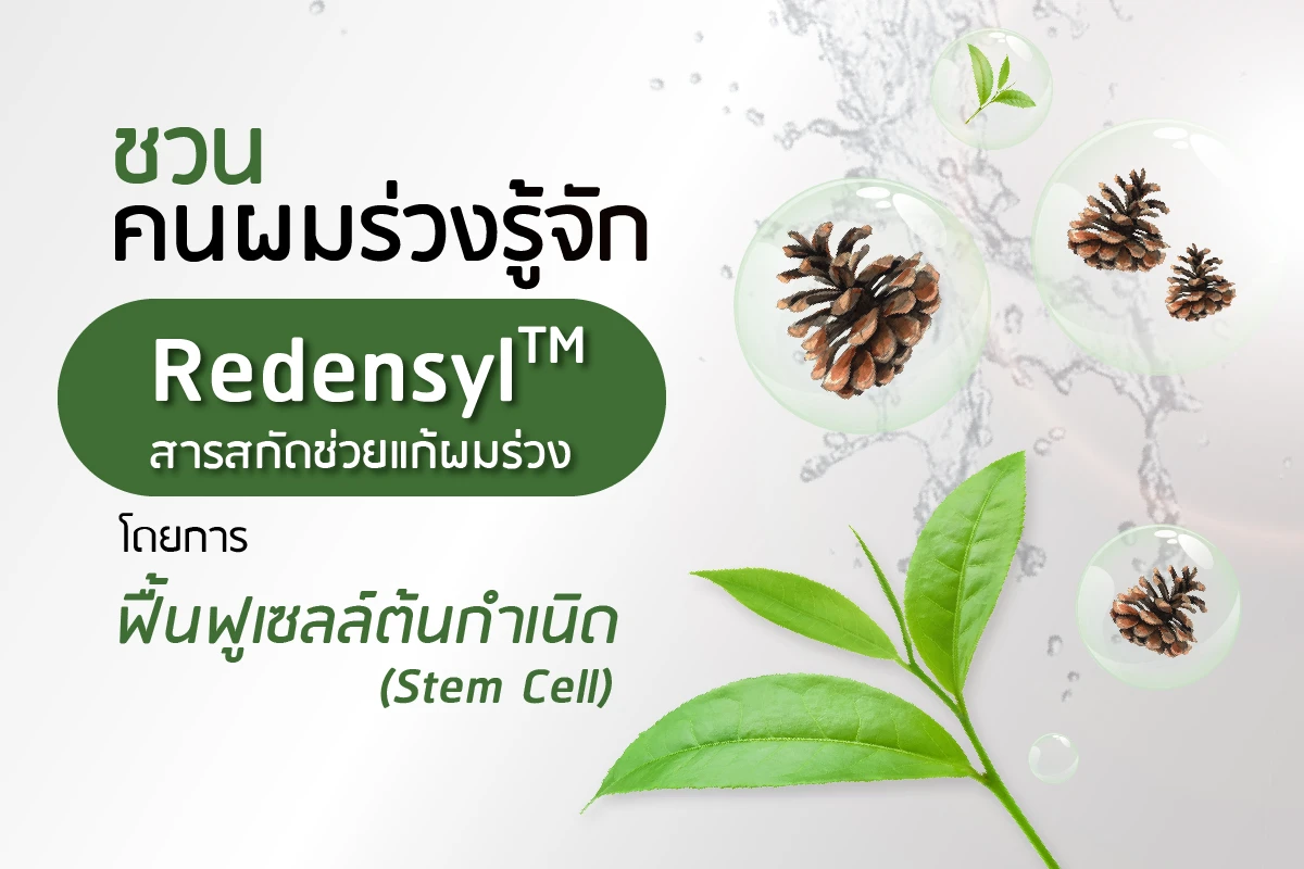 ชวนคนผมร่วงรู้จัก Redensyl™ สารสกัดช่วยแก้ผมร่วง โดยการฟื้นฟูเซลล์ต้นกำเนิด (Stem Cell)