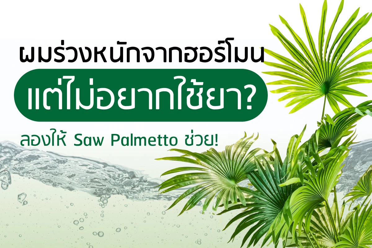 ผมร่วงหนักจากฮอร์โมน แต่ไม่อยากใช้ยา? ลองให้ Saw Palmetto ช่วย!