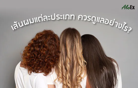 เส้นผมแต่ละประเภท ควรดูแลอย่างไร